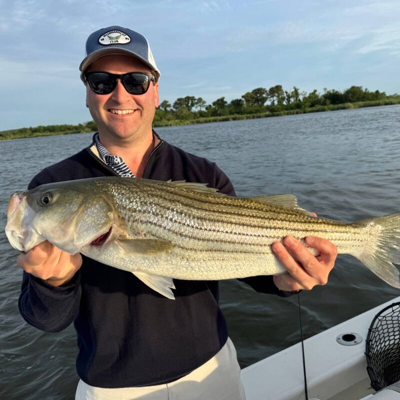 The image shows a man holding a striped bass fish. He is wearing sunglasses and a hat. The background shows a body of water and some trees. The man is smiling, suggesting he is happy with his catch. The fish appears to be quite large.